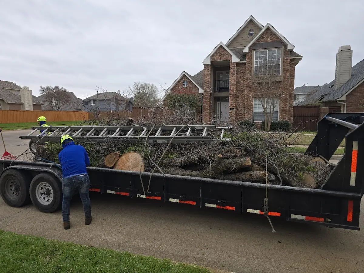 Expert Crown Reduction with proper safety equipment in Quarryville